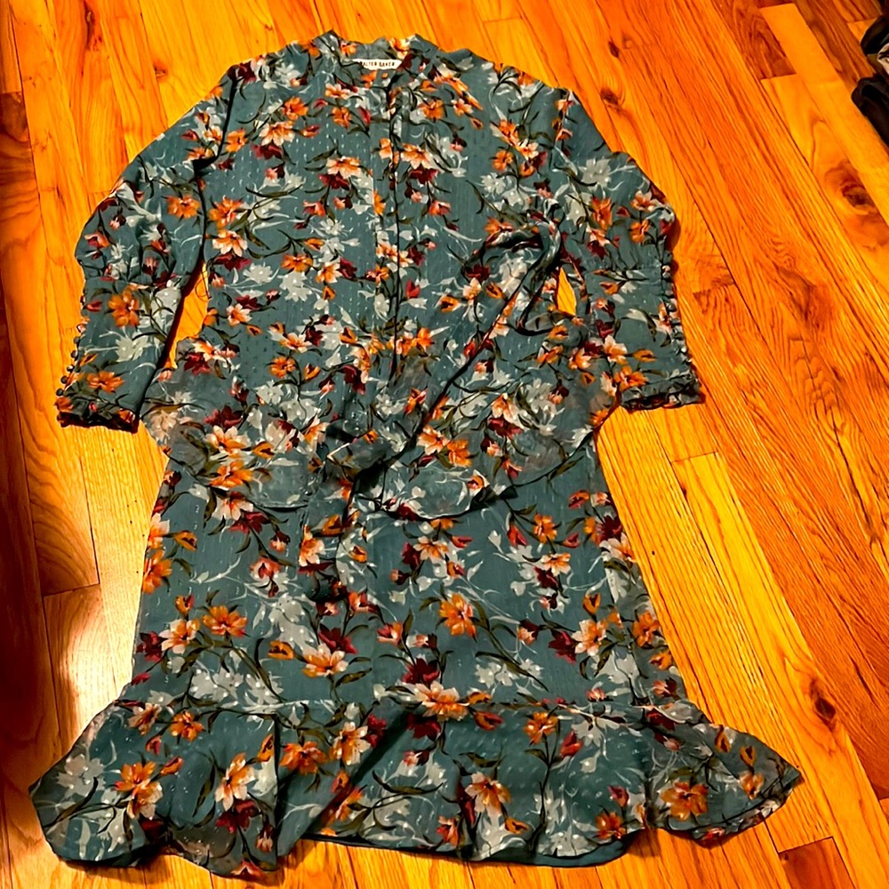 Walter Baker floral midi dress size small